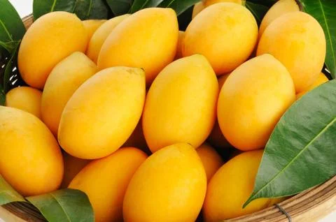 Marian plum or maprang Stock Photos