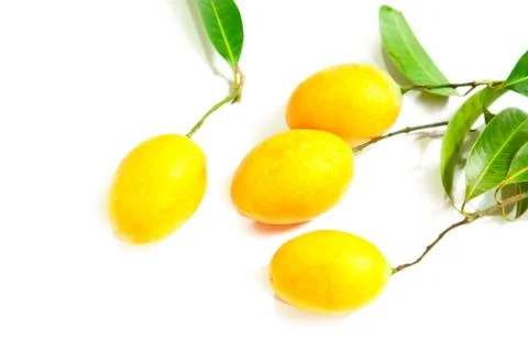 Marian plum Stock Photos