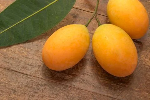 Marian plum Stock Photos