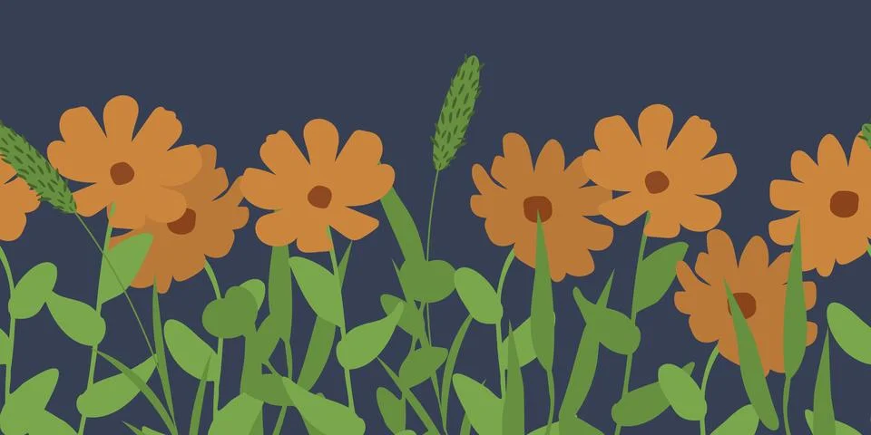 Marigold background Stock Illustration