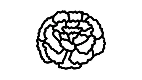 Marigold blossom spring line icon animation Stock Footage 326135392