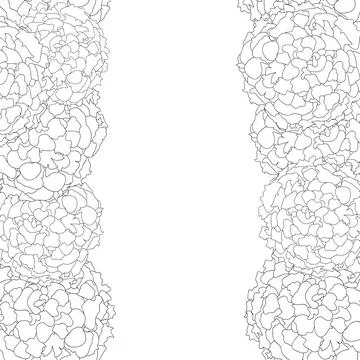 Marigold Border Outline Stock Illustration