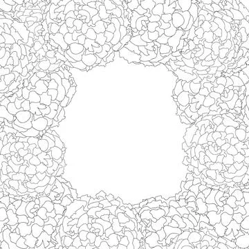 Marigold Border Outline2 Stock Illustration