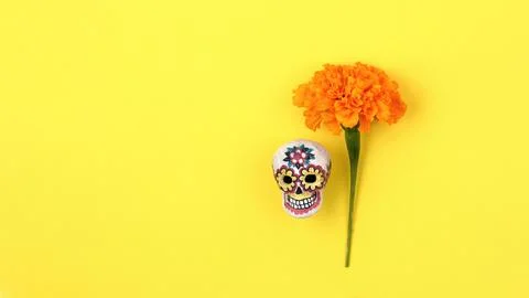 Marigold flower and painted Mexican skull on yellow background Stock Photos