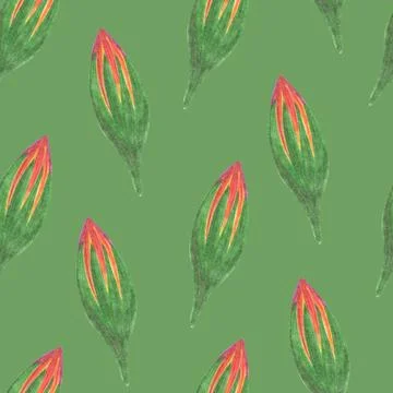 Marigold Flower Bud Seamless Pattern. Floral Bud Digital Paper. Stock Illustration