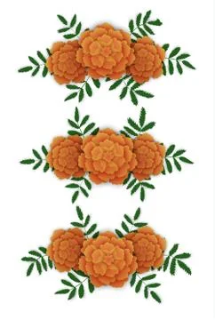 Marigold flower design elements. イラスト素材