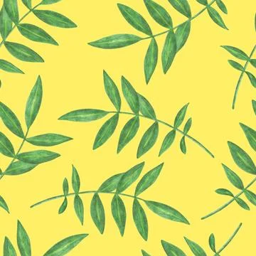 Marigold Flower Leaves Seamless Pattern. Floral Leaf Digital Paper. Stock Illustration