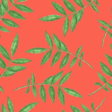 Marigold Flower Leaves Seamless Pattern. Floral Leaf Digital Paper. Stock Illustration