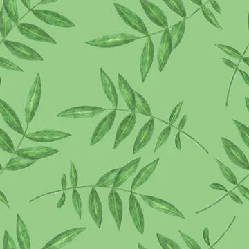 Marigold Flower Leaves Seamless Pattern. Floral Leaf Digital Paper. Stock Illustration