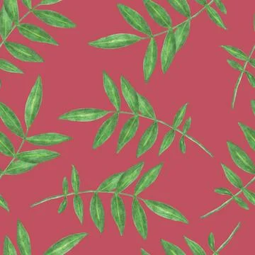 Marigold Flower Leaves Seamless Pattern. Floral Leaf Digital Paper. Stock Illustration