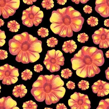 Marigold Flower Seamless Pattern. Floral Digital Paper. Stock Illustration