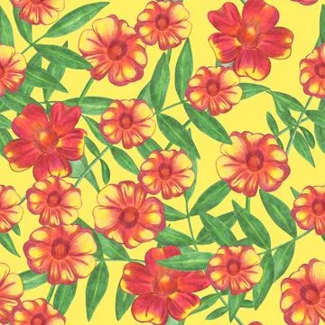 Marigold Flower Seamless Pattern. Floral Digital Paper. Stock Illustration
