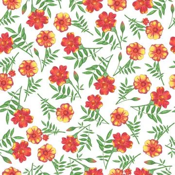 Marigold Flower Seamless Pattern. Floral Digital Paper. Stock Illustration