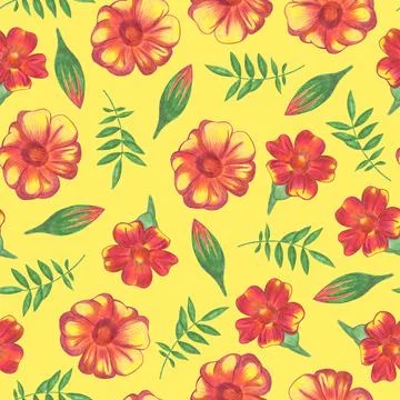 Marigold Flower Seamless Pattern. Floral Digital Paper. Illustrazione stock