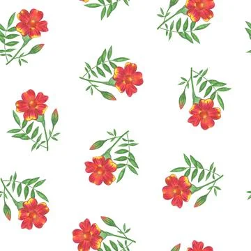 Marigold Flower Seamless Pattern. Floral Digital Paper. Stock Illustration