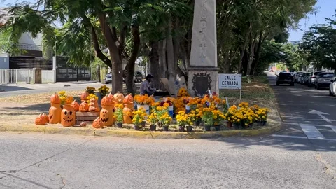 Marigold Flower Stand with Pumpkin Decorations Stock Footage 286380996