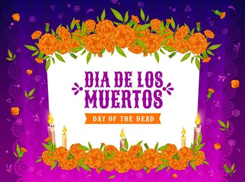 Marigold flowers frame, dead day holiday border Stock Illustration