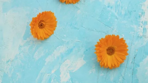 Marigold flowers macro shot Stock Footage 136932923