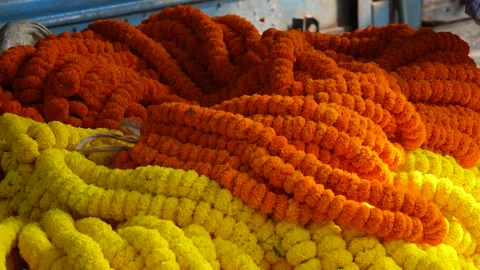 Marigold Garlands Stock Footage 340653758