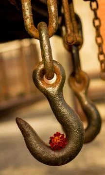 Marigold hook Stock Photos