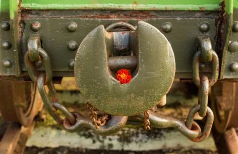 Marigold linkage Stock Photos
