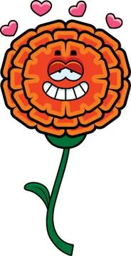 Marigold in love Stock Illustration
