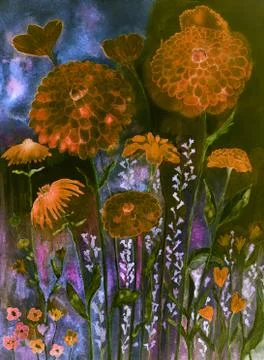 Marigold in a magical night Stock Illustration