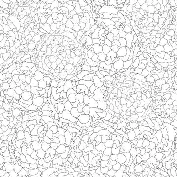 Marigold Outline Seamless Background Stock Illustration