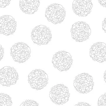 Marigold Outline on White Background Stock Illustration