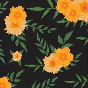 Marigold pattern. Illustrazione stock