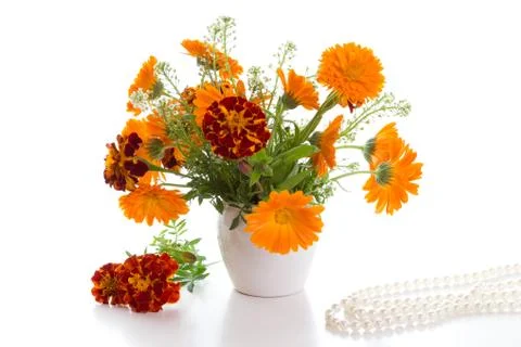 Marigold Stock Photos