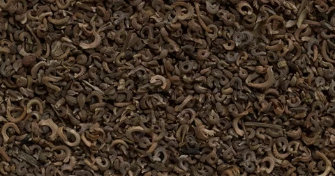 Marigold seeds texture. Stock Footage 277458615