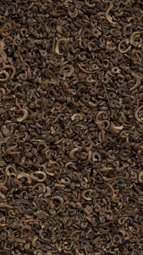 Marigold seeds texture. Vertical video. Stock Footage 277458491