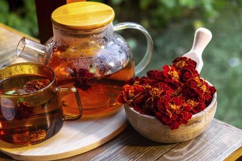Marigold tea still life on table in green garden background. Healthy hot drink Stock Photos