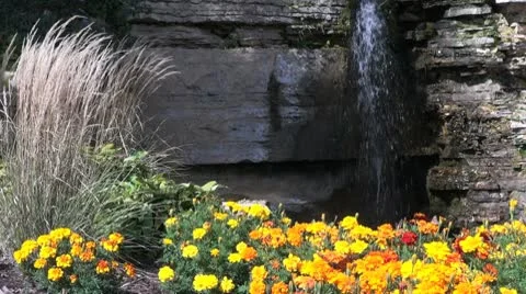 Marigolds and waterfall Stock Footage 10736995