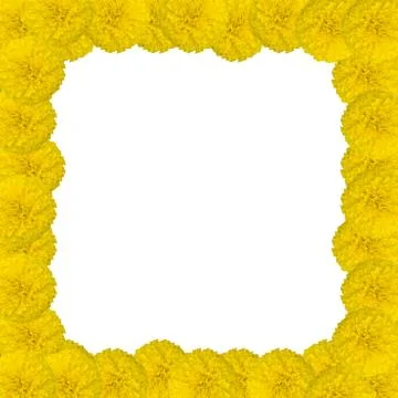 Marigolds frame Stock Photos