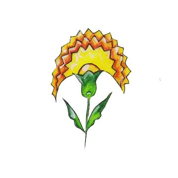 Marigolds Stock Illustration