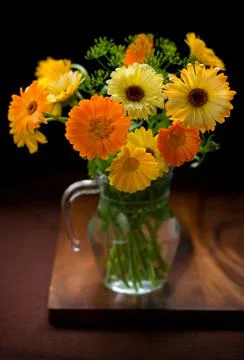 Marigolds Stock Photos