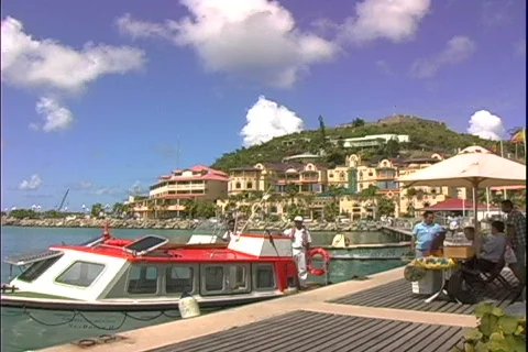 Marigot Harbor Tender 库存影片 818824
