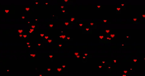 MARIIA VASILEVA Stock Footage 156579805