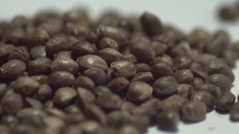 Marijuana 1 Video stock 221118685