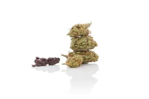 Marijuana abuse. Stock Photos