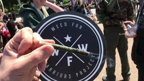 Marijuana Against A Sign During A Protest Stock Footage 75416799