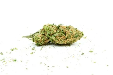 Marijuana and cannabis, white background Foto stock