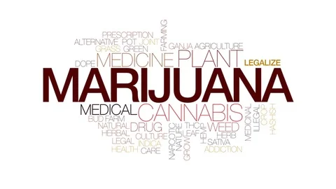 Marijuana animated word cloud, text design animation. Kinetic typography. Stock Footage 72948058