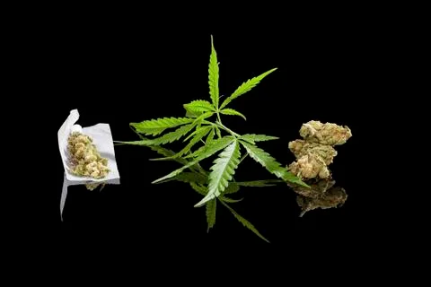 Marijuana background. Stock Photos