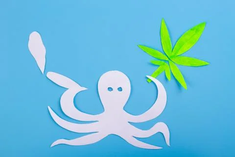 Marijuana on blue background Stock Photos