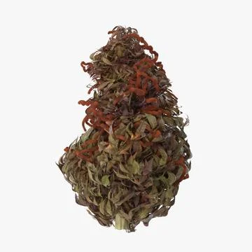 Marijuana Bud 02 03 3D Model