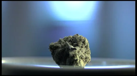 Marijuana Bud  Stock Footage 1182532