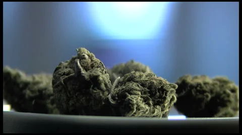Marijuana buds close up Stock Footage 1182514